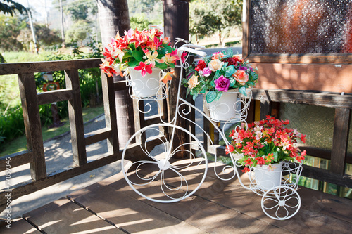 Ranunculus flowers in a bicycle vase