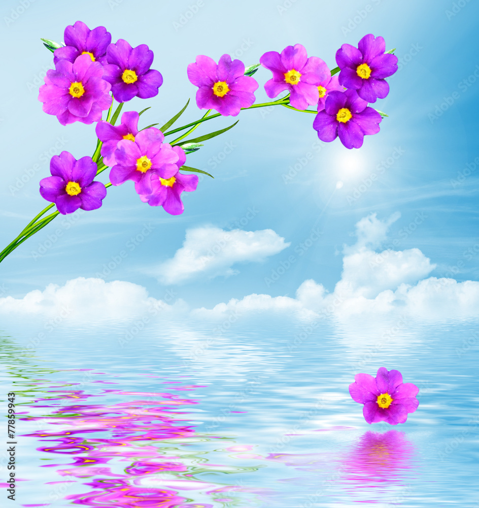 Fototapeta premium forget-me-not flowers on a background of blue sky with clouds