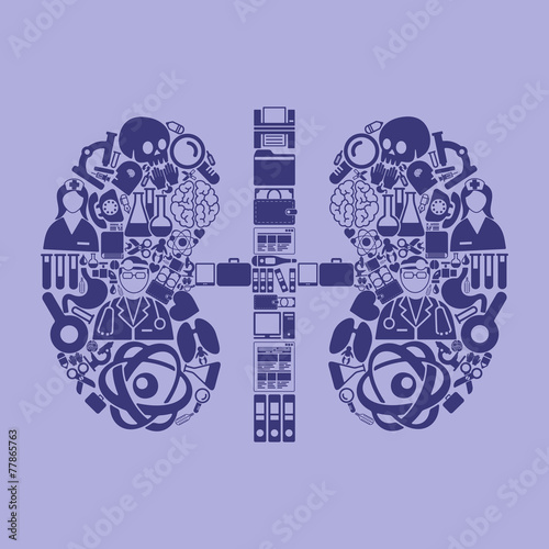 kidneys icon