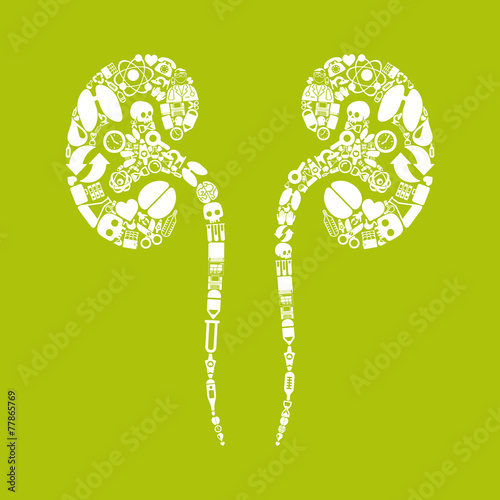 kidneys icon