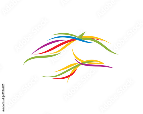 Color Horse
