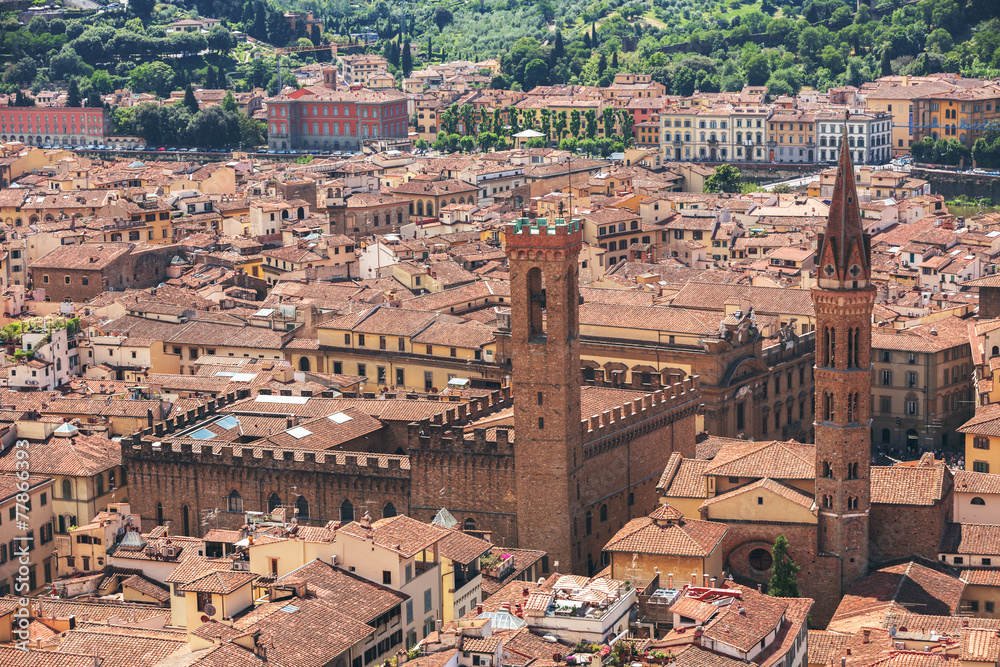 Panorama of old Florence and the church Saint Mary of the Flower