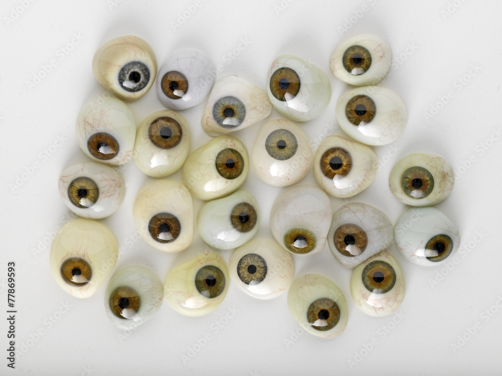 Eyes for Taxidermy Eyes for Taxidermy