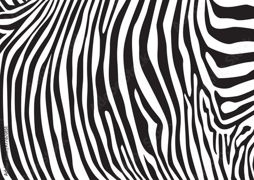 Zebra stripes pattern  illustration