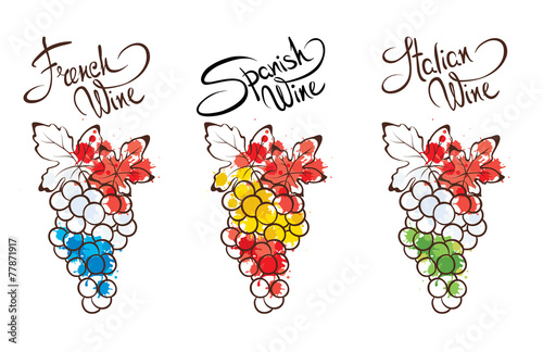 Collection illustration -- wine from France, Italy and Spain photo