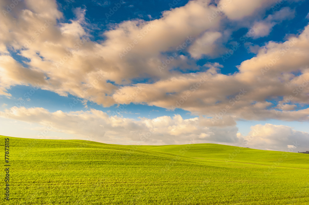 Landscape of the setting sun, green field and blue cloudy sky