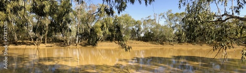 River, Welford NP, Queensland, Australia photo