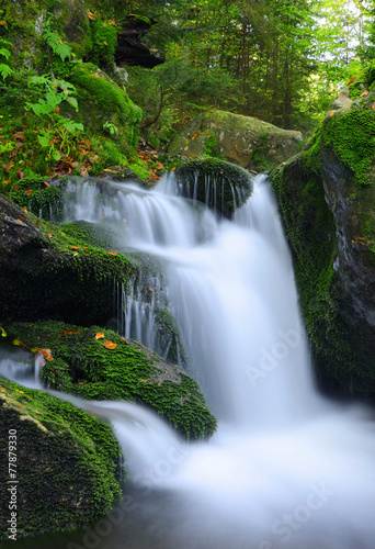 Fototapeta Naklejka Na Ścianę i Meble -  Waterfall in the national park Sumava-Czech Republic