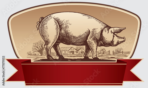 Graphical pig in landscape