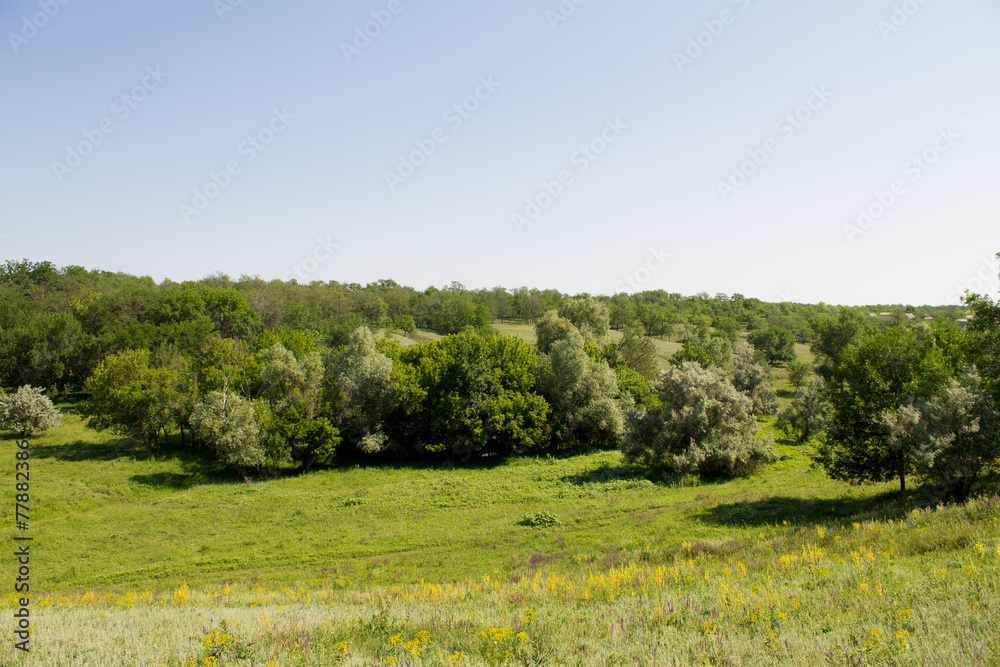 Fototapeta premium Landscape - nature, the view from the hill