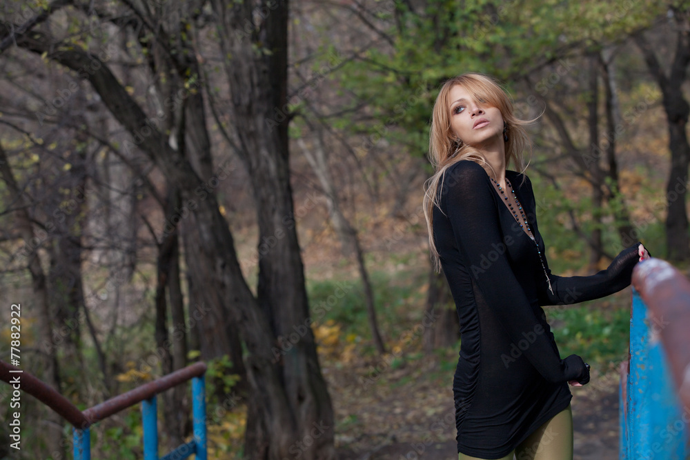 Attractive pretty woman posing on the autumn bridge