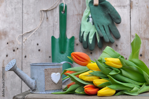 bouquets de tulipes et accessoires de jardinage