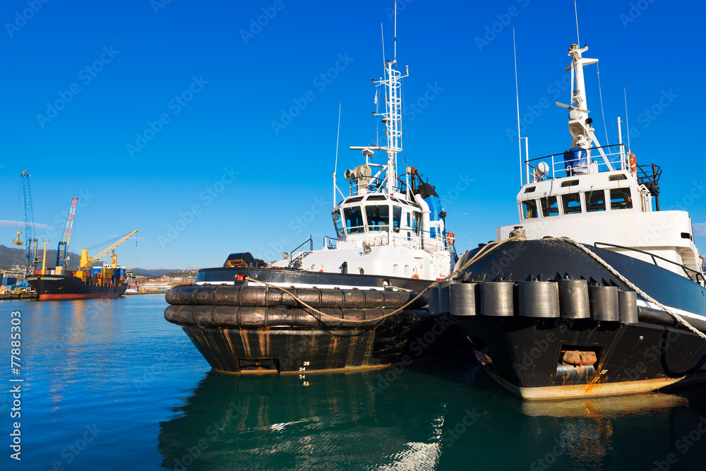Naklejka premium Two Tugboats and Containers Ship