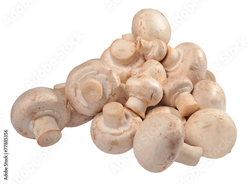 Heap of mushrooms on a white