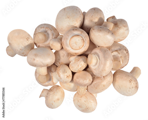 Heap of mushrooms on a white