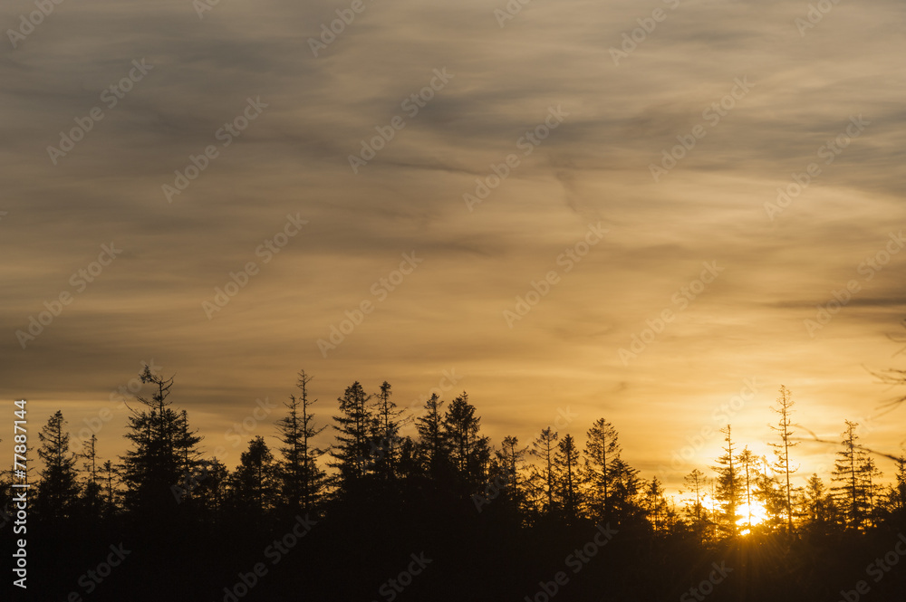 Sonnenuntergang im Naturschutzgebiet Großer Hohlohsee, Reichent