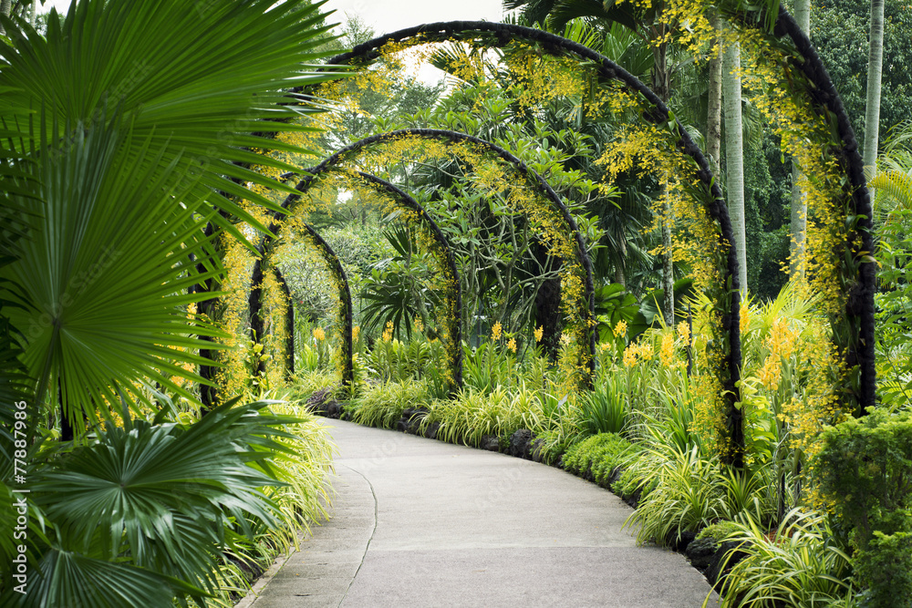 Fototapeta premium Botanical Garden path