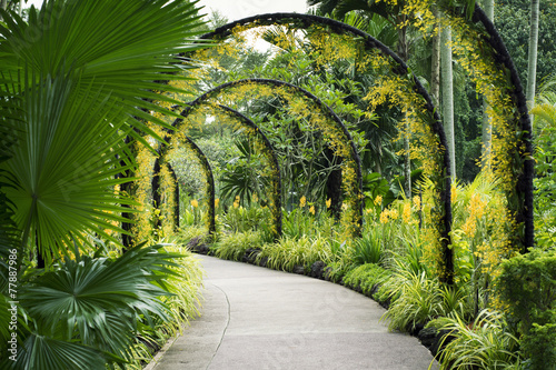 Botanical Garden path