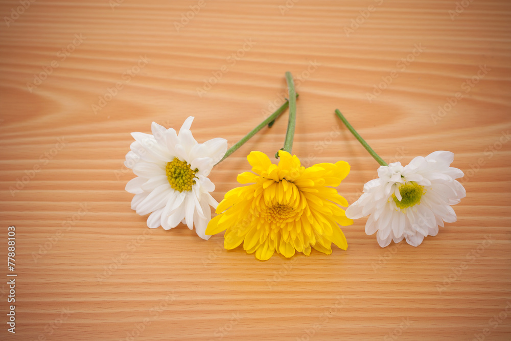 Obraz premium arrangement flower on wooden with empty space background