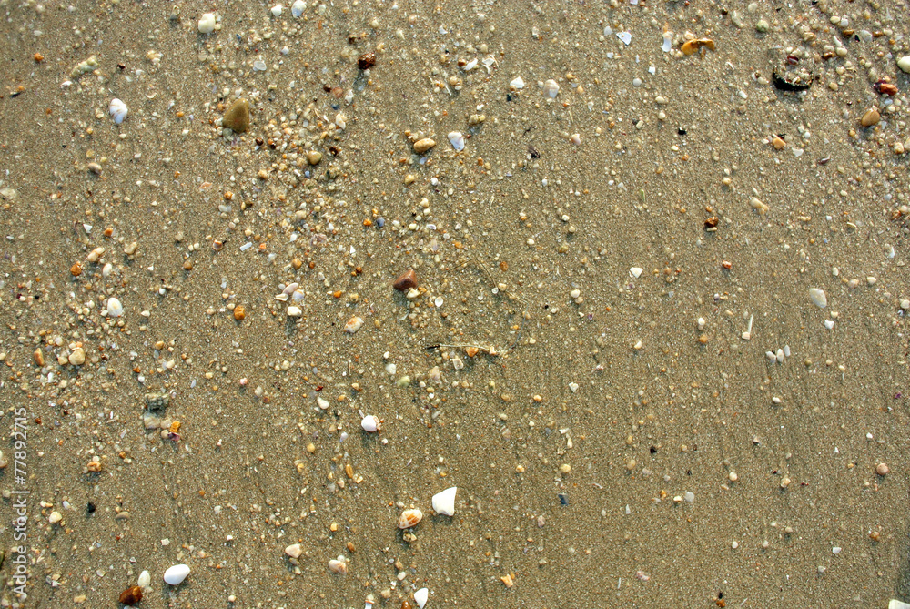 Sea Sand Texture
