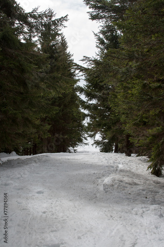 neve appennino Italia