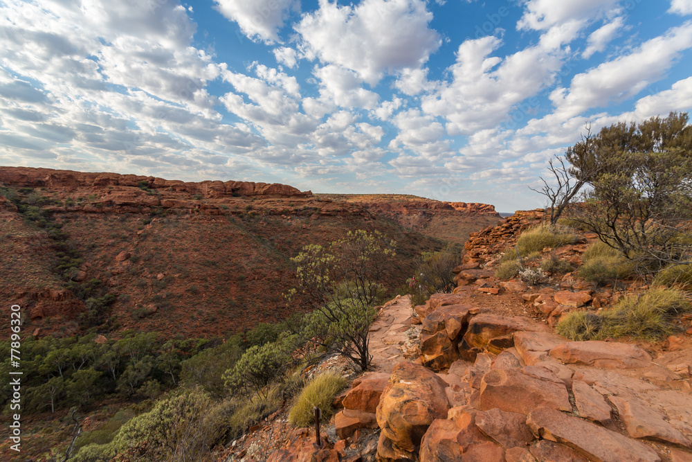 Obraz premium Kings canyon