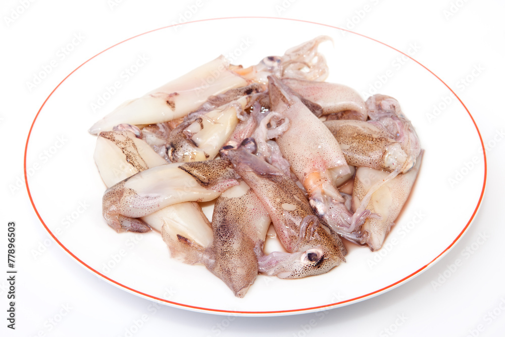 Small freshly squids Small freshly squids