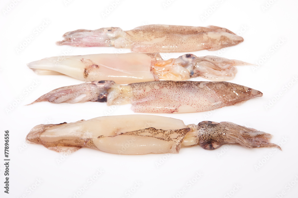 Row of small freshly squids