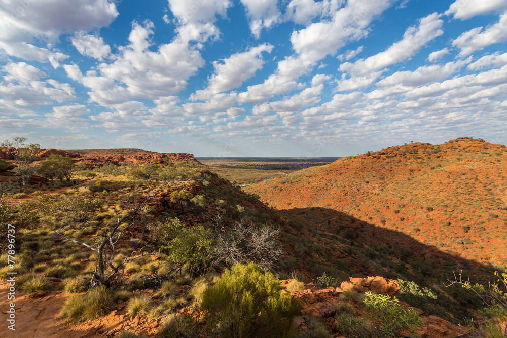 Obraz premium Kings canyon