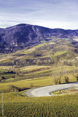 Oltrepo Pavese winter panorama. Color image