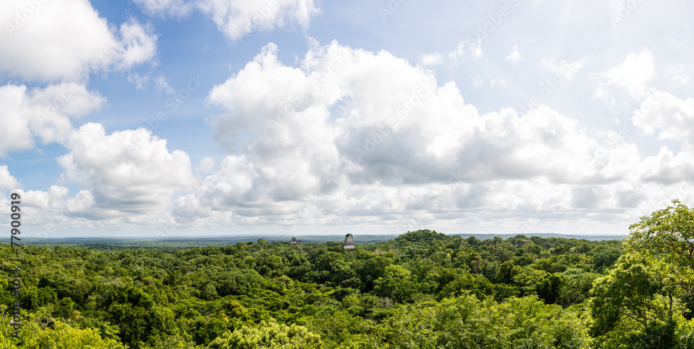 Panoramic View rainforest and Mayan Ruins . Tikal, Guatemala.