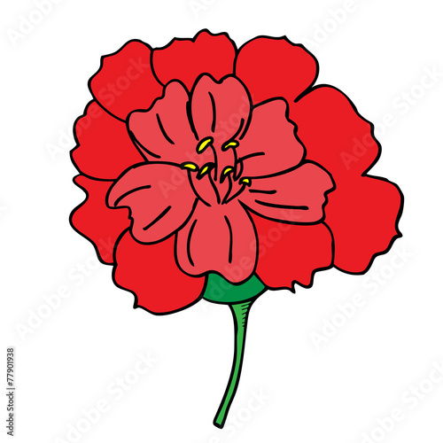 Bright red rose flower spring vector illustration isolated on wh