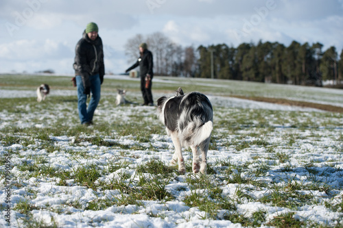 Hundetraining photo