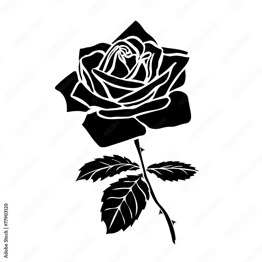 Obraz premium silhouette of rose
