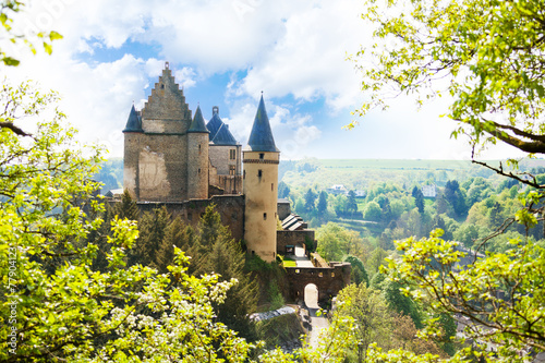 View of Vianden castle in Luxembourg from the hill photo