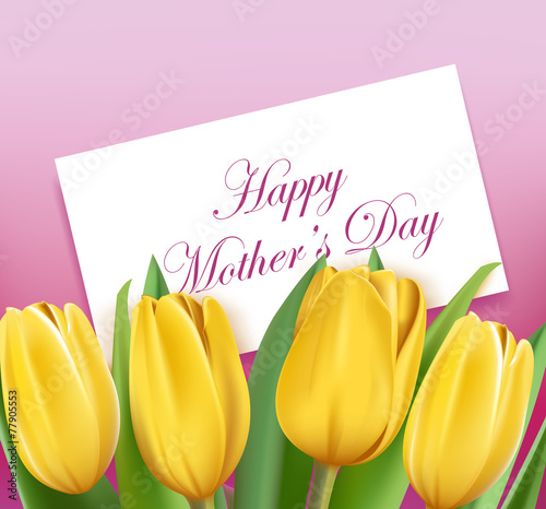 Fototapeta Naklejka Na Ścianę i Meble -  Realistic Colorful Tulips in Isolated Background