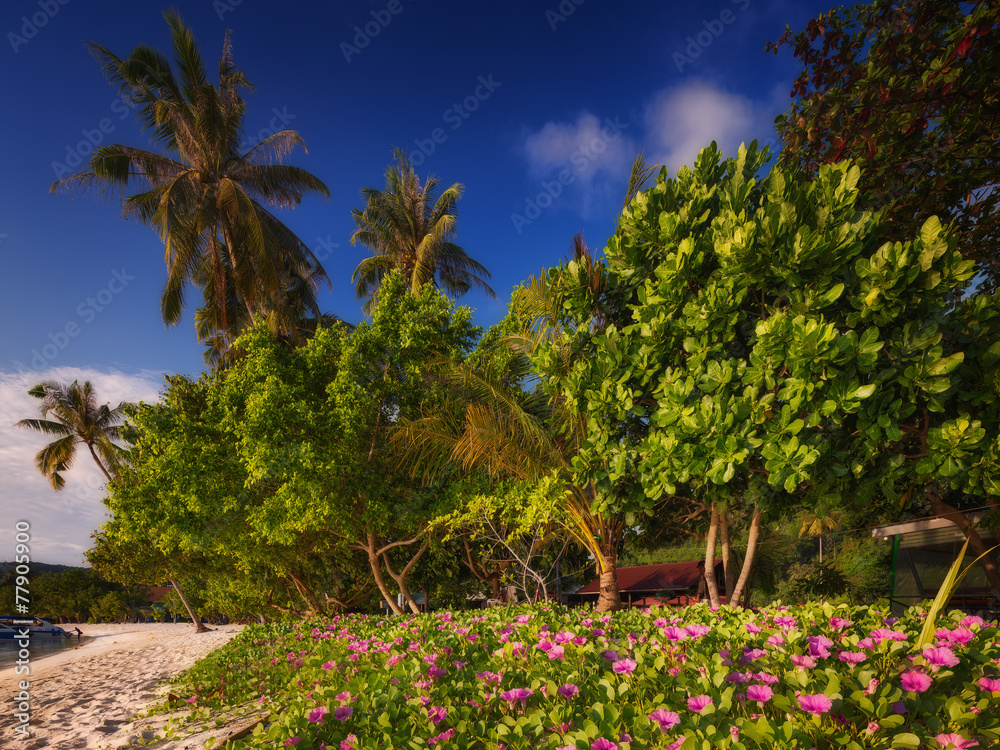 Beautiful beach with colorful flowers and blue sky