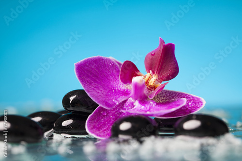 Fototapeta Naklejka Na Ścianę i Meble -  Spa still life with pink orchid and black zen stones