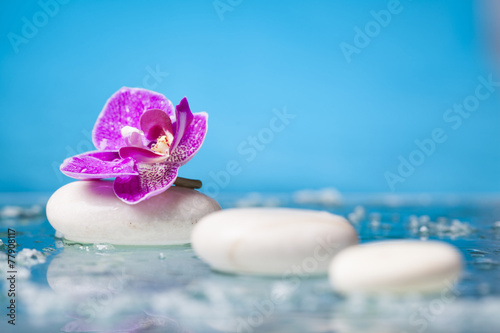 Spa still life with pink orchid and white zen stone