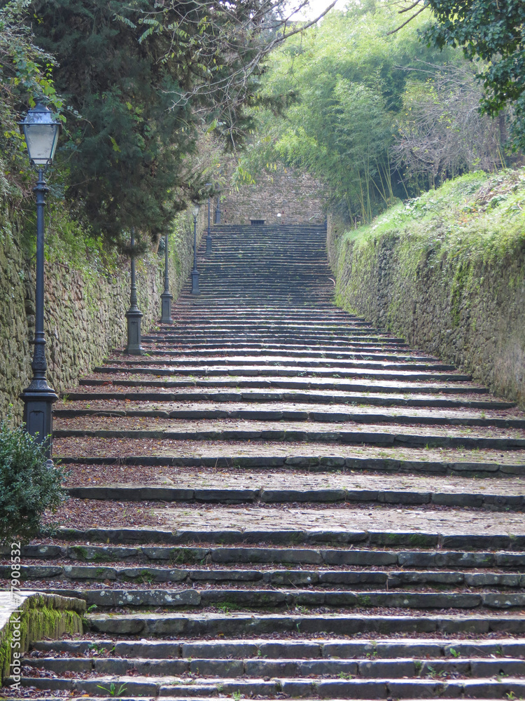 Stairway steps Stairway steps