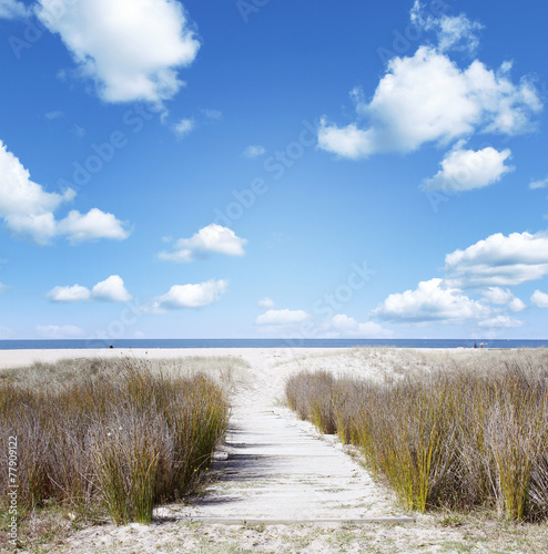 Beach trail