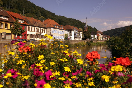 EUROPE GERMANY BLACKFOREST