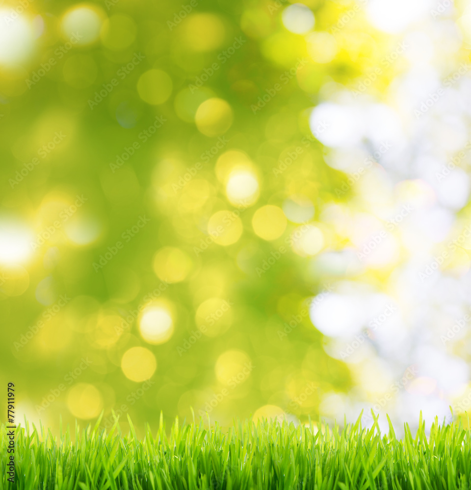 Obraz premium Natur Hintergrund Wiese