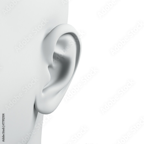 3d ear