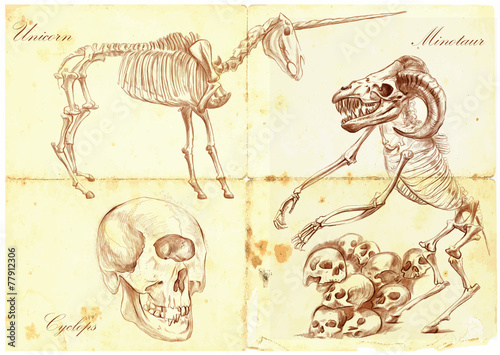 An hand drawn vector: Unicorn, Cyclops, Minotaur