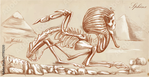 An hand drawn vector, converted: Sphinx