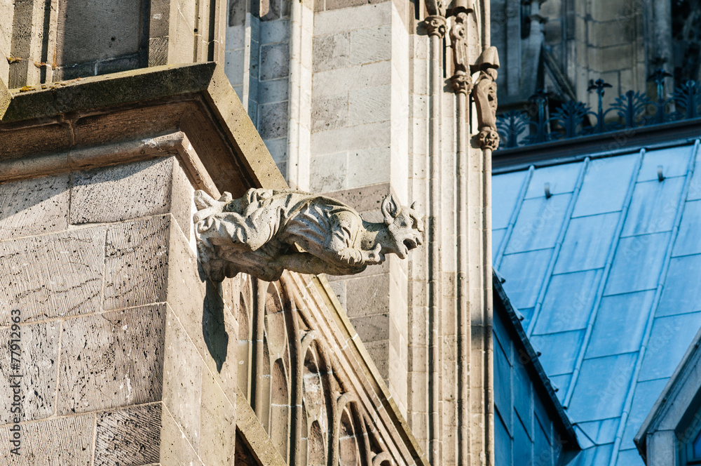 Gargoyl at top of the cathedral in Cologne