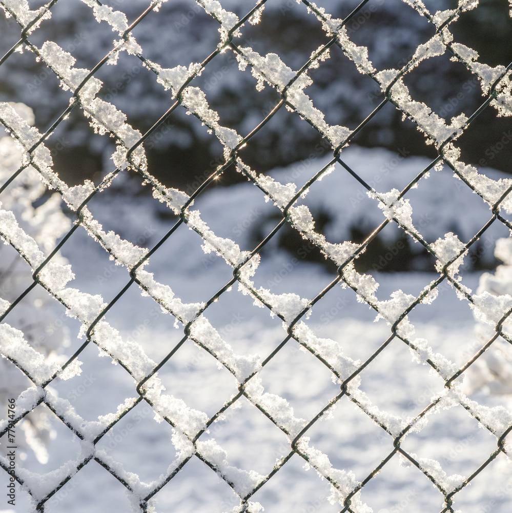 Fototapeta premium snow covered fence