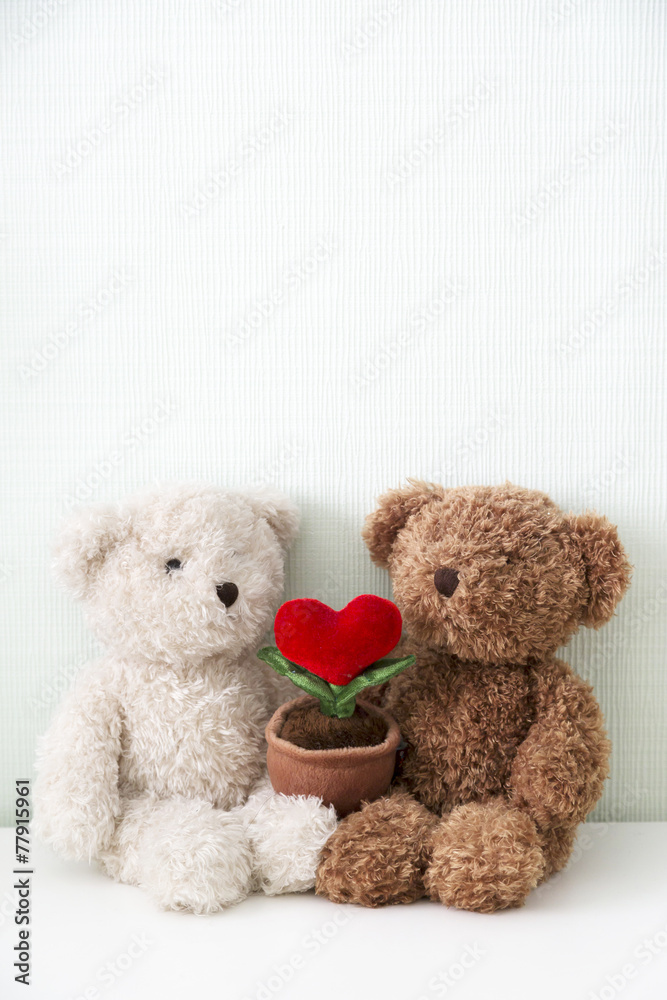 Couple lover bear dolls with heart shape plant on table