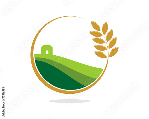 Farm Land Wheat